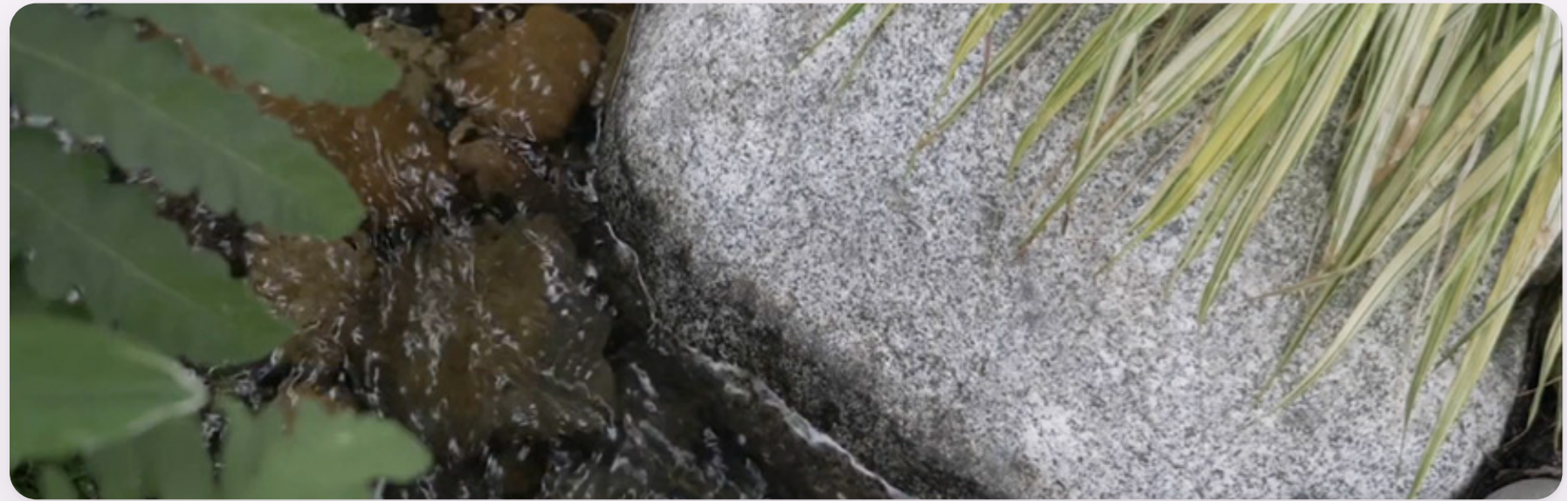 A water feature built as part of correcting drainage on a Higher Ground Landscaping project.